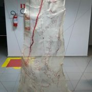 RODRIGO PEDRO CASTELEIRA