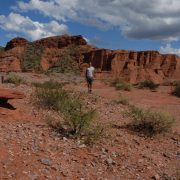 ROMMULO VIEIRA CONCEIÇÃO